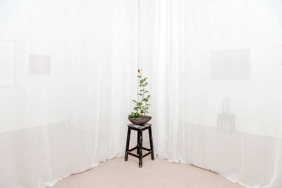 <cite>Ma – entre les lignes –</cite>, Yvon Lambert, Paris 2025 © Yvon Lambert